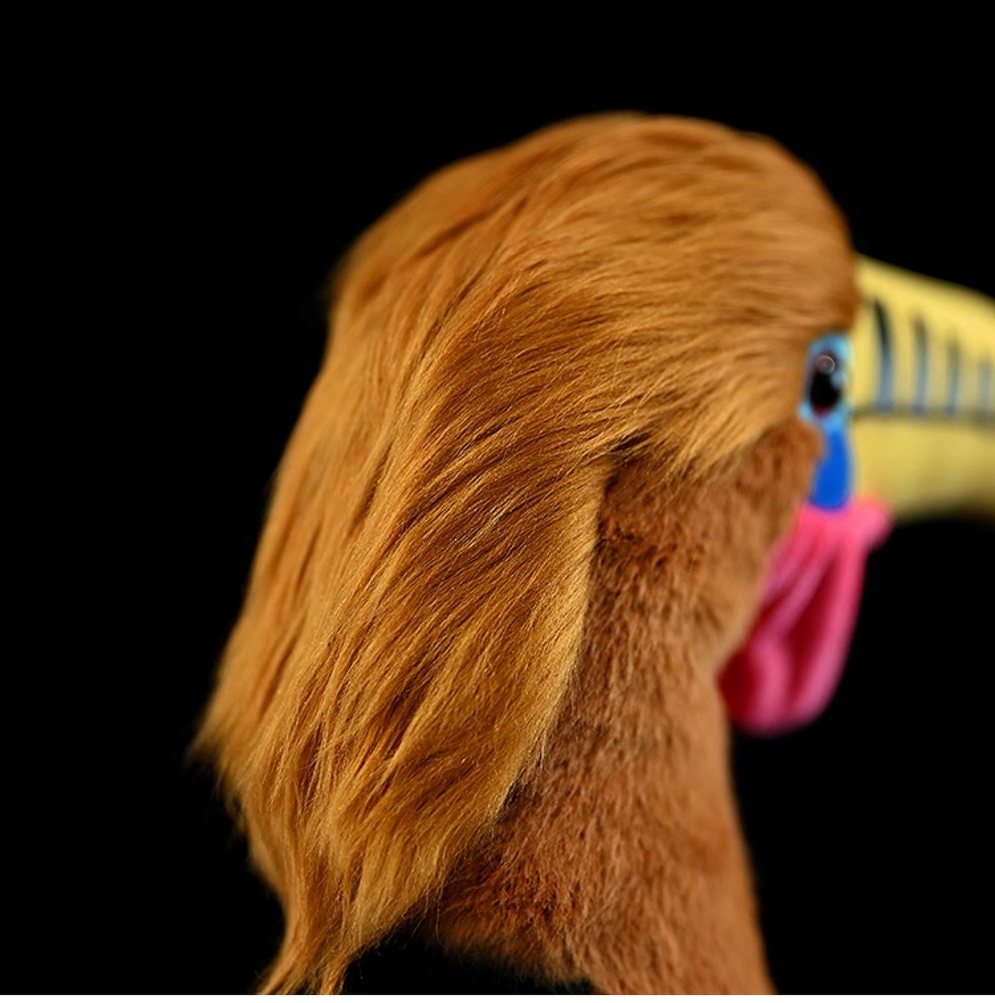 Hornbill Plush – Exotic Bird Friend