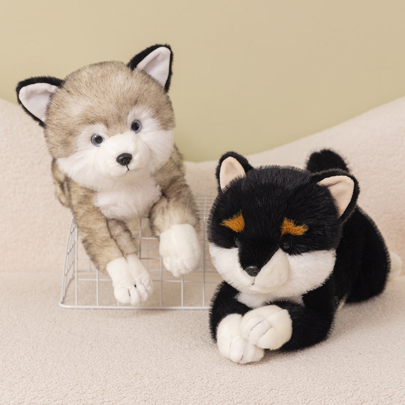 Shiba & Husky Plush Dolls – Doggy Duo Delight