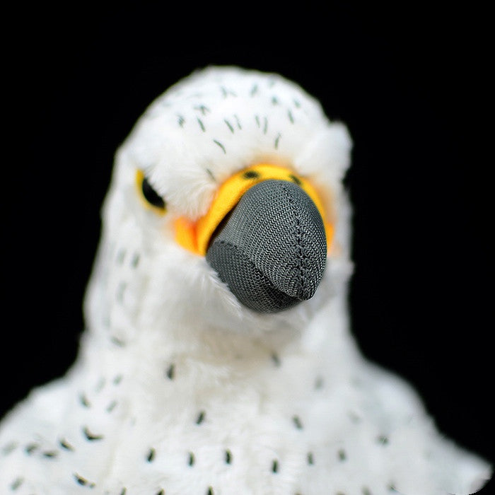 Spear Falcon Plush – Bold Bird Buddy
