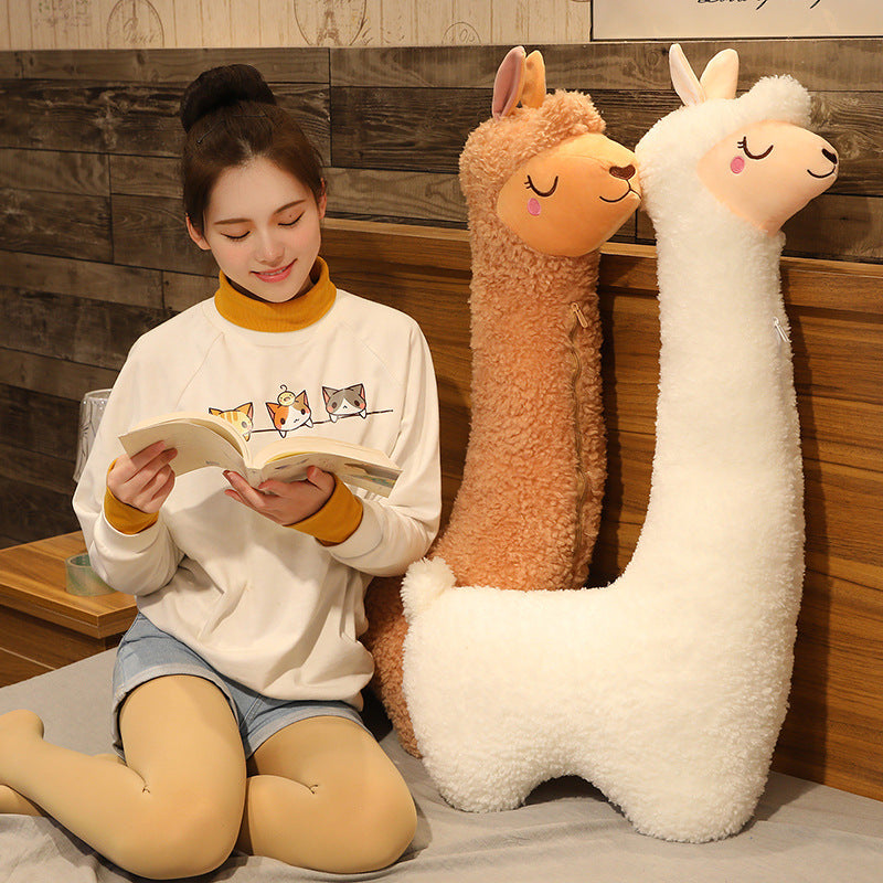 Birthday Sleep Pillow – Big Cuddly Plush