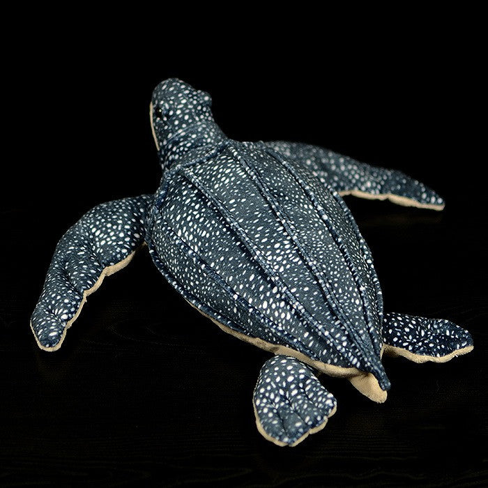 Tortoise Plush – Slow and Snuggly