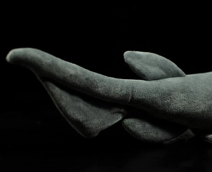 Frilled Shark Plush – Deep Sea Snuggler