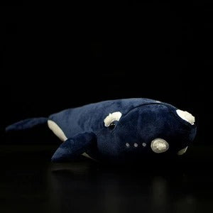 Right Whale Plush – Chonky Ocean Cutie