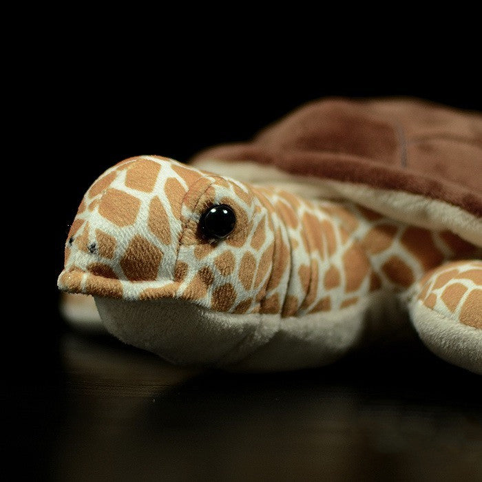 Tortoise Plush – Slow and Snuggly