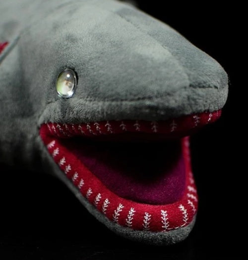 Frilled Shark Plush – Deep Sea Snuggler