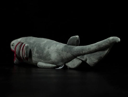 Frilled Shark Plush – Deep Sea Snuggler