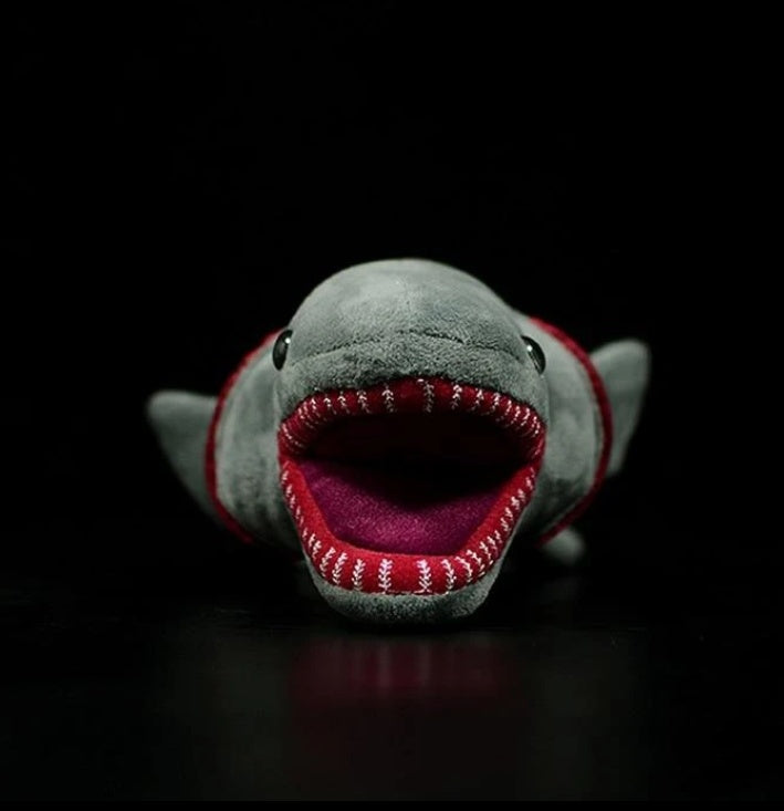 Frilled Shark Plush – Deep Sea Snuggler