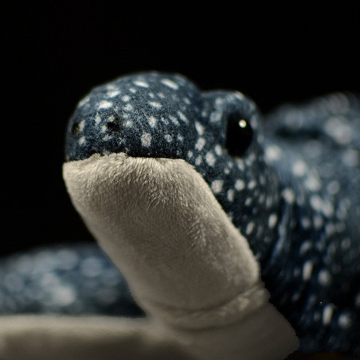 Tortoise Plush – Slow and Snuggly