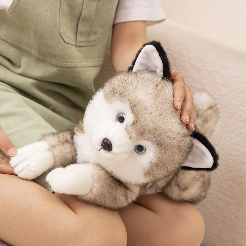 Shiba & Husky Plush Dolls – Doggy Duo Delight