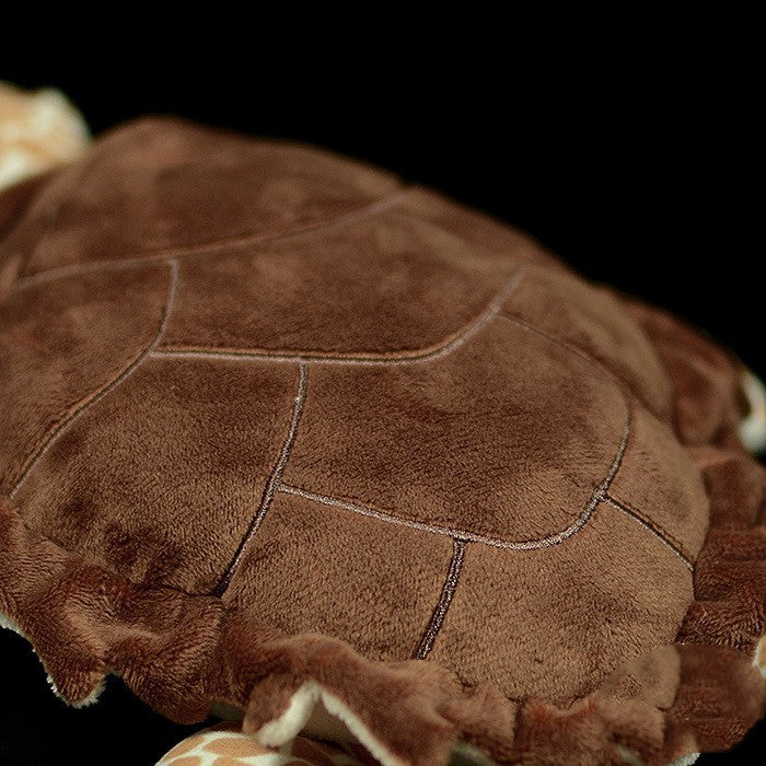 Tortoise Plush – Slow and Snuggly