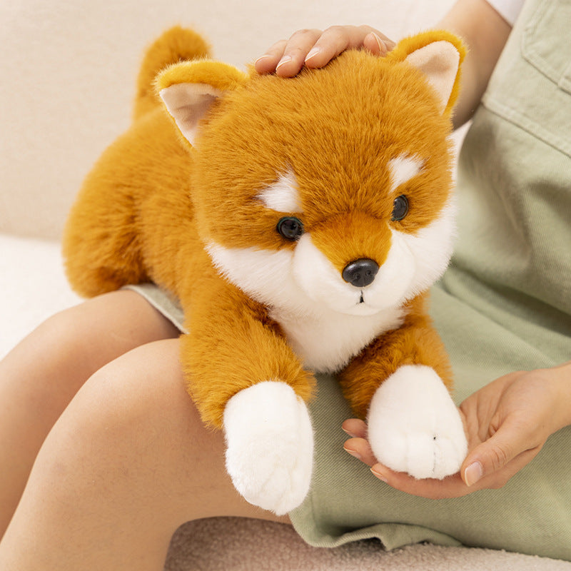 Shiba & Husky Plush Dolls – Doggy Duo Delight