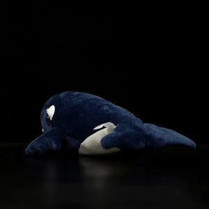 Right Whale Plush – Chonky Ocean Cutie