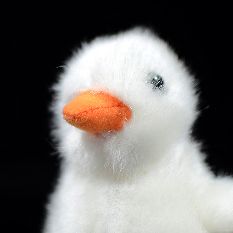 Chick Plush Toy – Baby Bird Buddy
