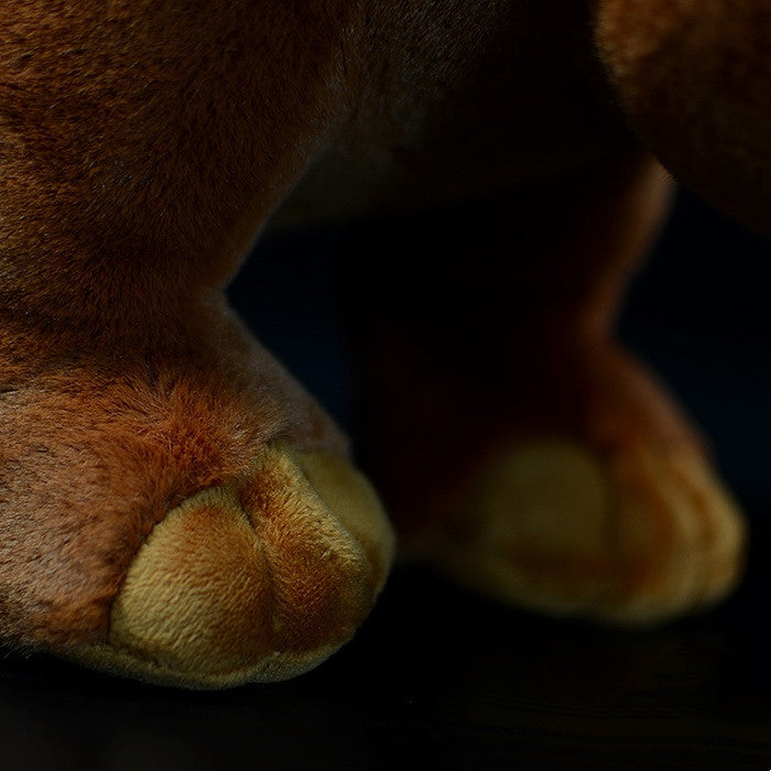 Egyptian Heavy-Foot Plush – Ancient Creature Fun
