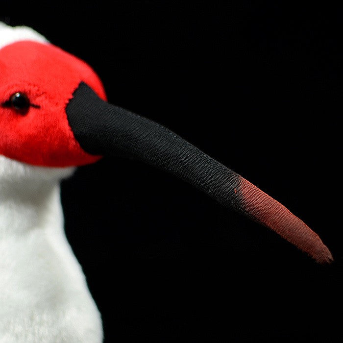 Cute Crested Ibis Plush – Rare Bird Delight