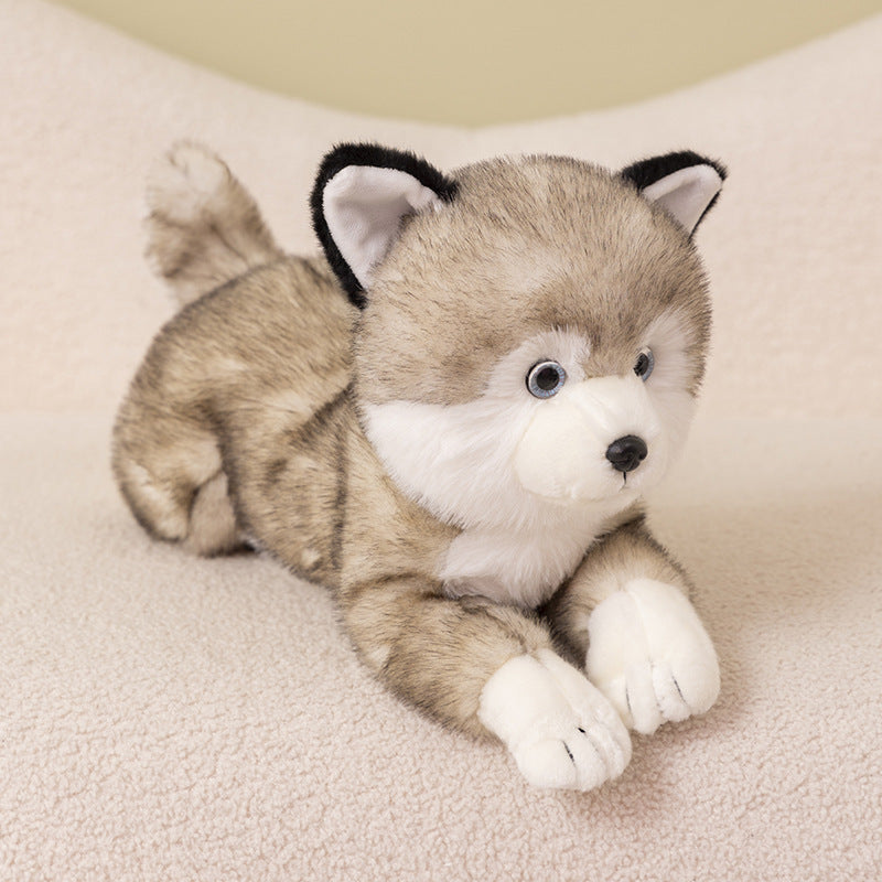 Shiba & Husky Plush Dolls – Doggy Duo Delight