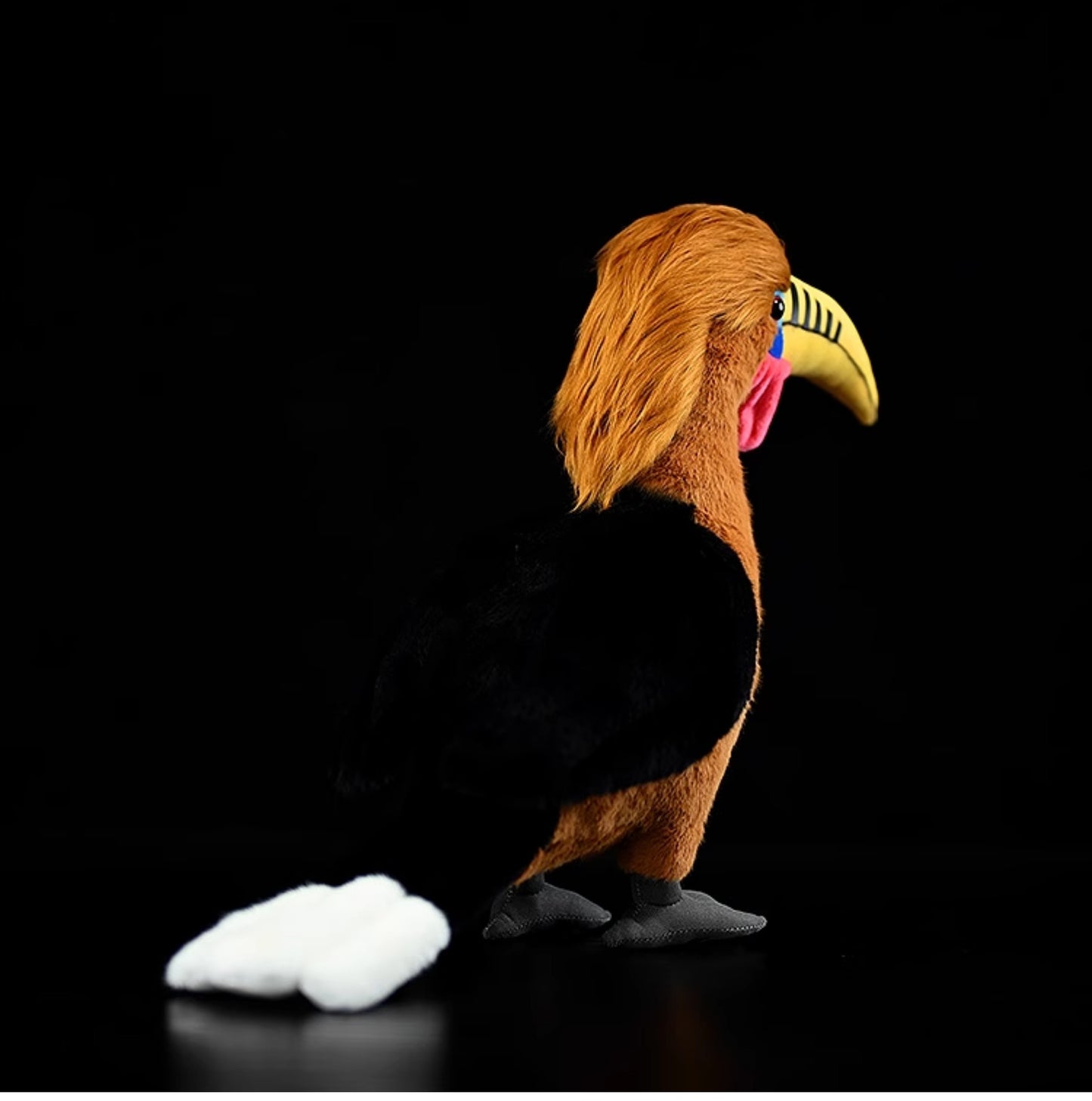 Hornbill Plush – Exotic Bird Friend